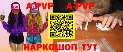 spice Кунгур