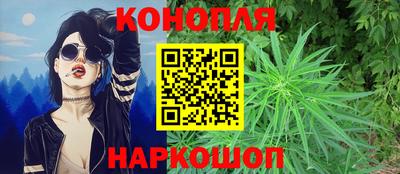 spice Кунгур