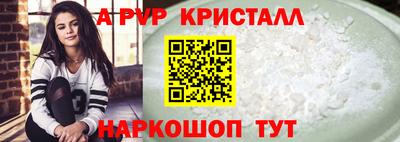 spice Кунгур